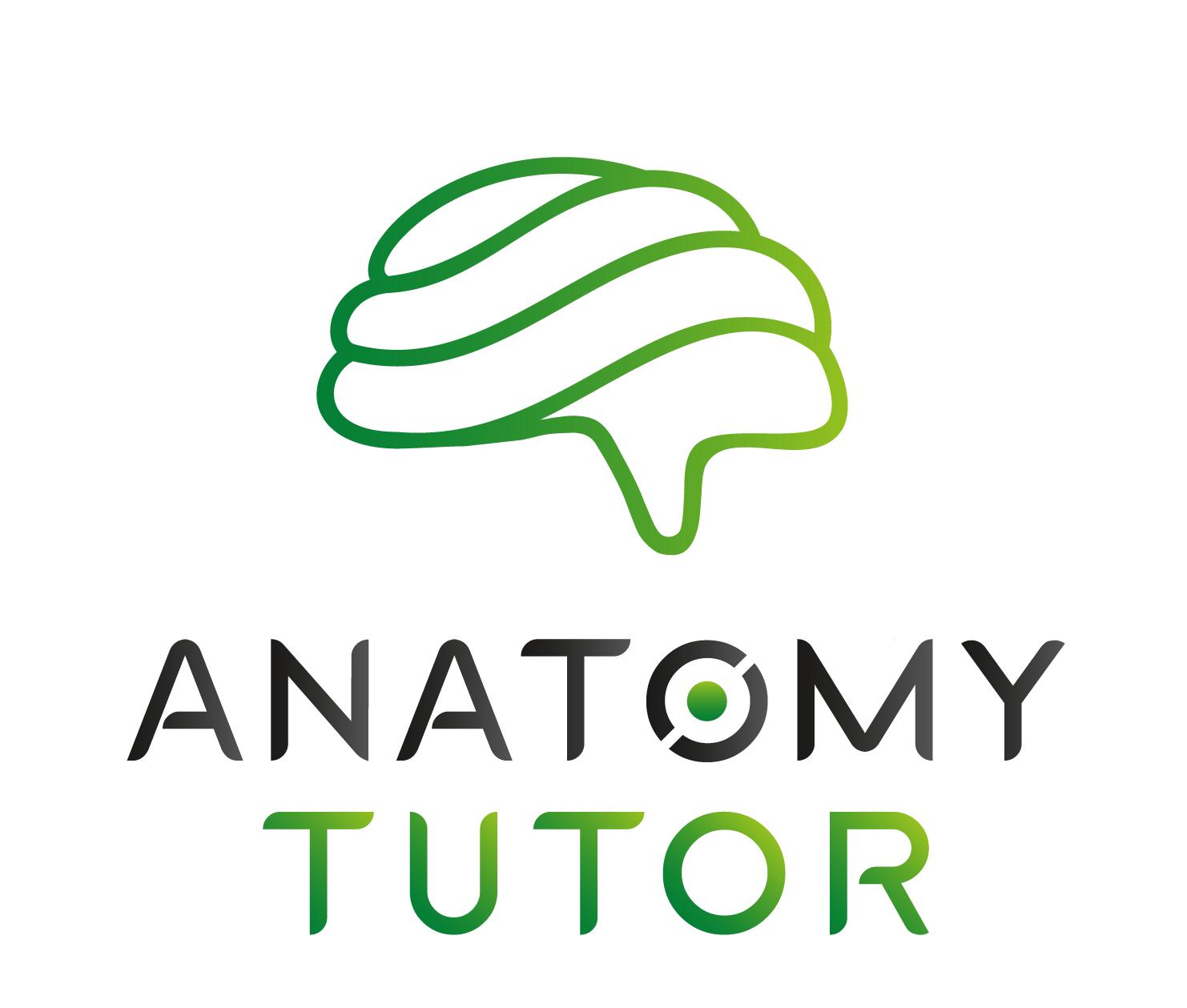 Anatomy Tutor